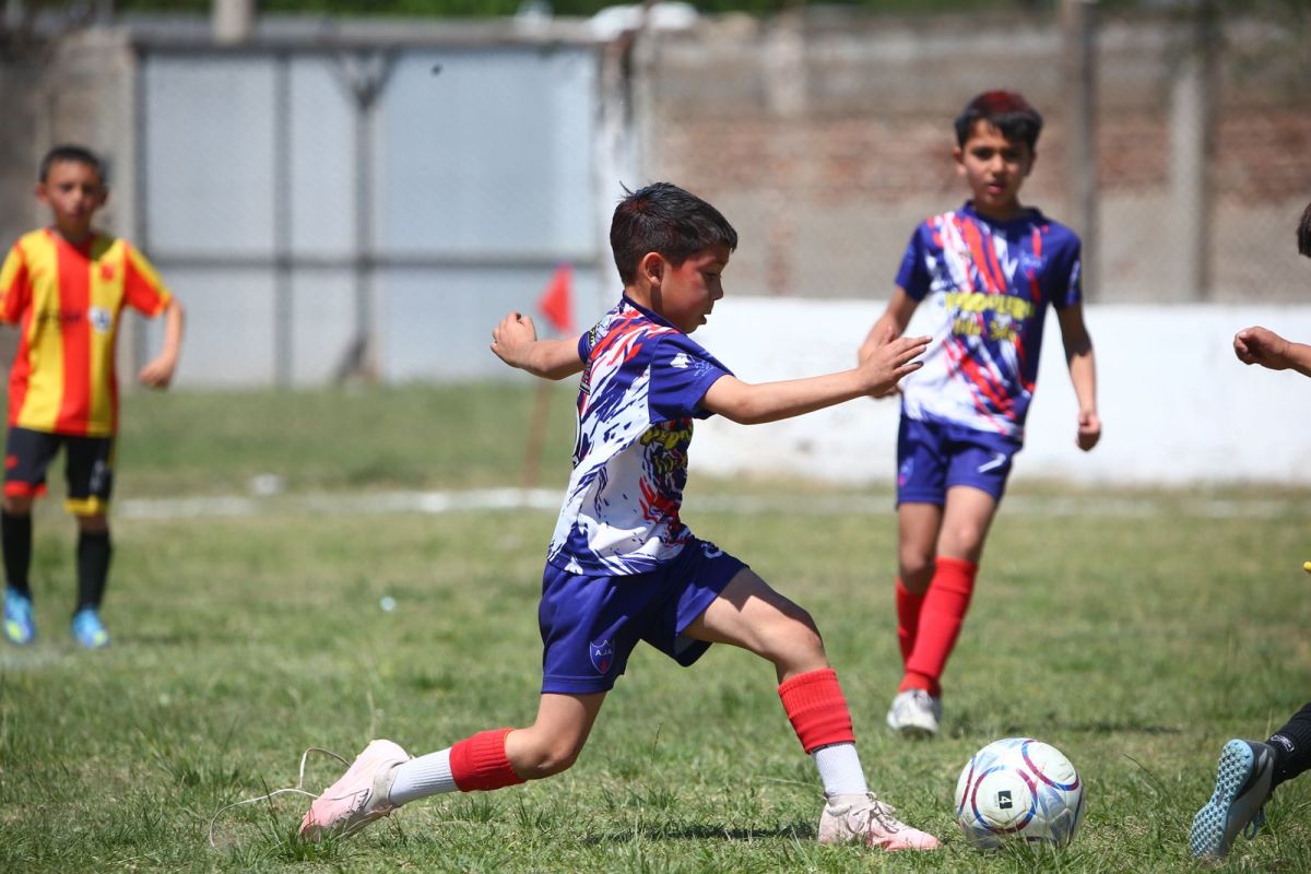 Cat. 2017 - Marull vs Ateneo Azul