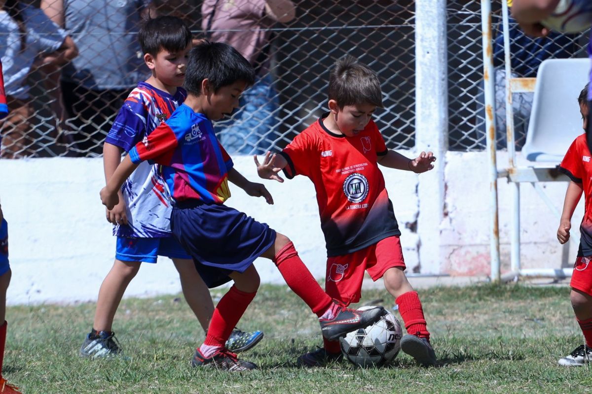 Cat. 2017 - Ateneo Rojo vs Marull