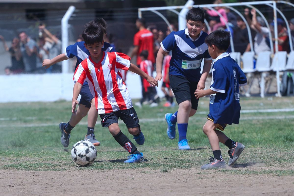 Cat. 2015/2019 - La Puerta vs Miramar